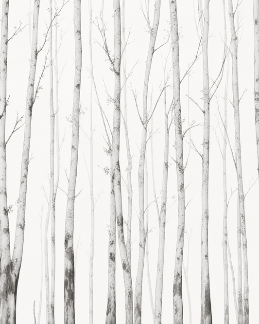 Papier peint bouleau – vue 1