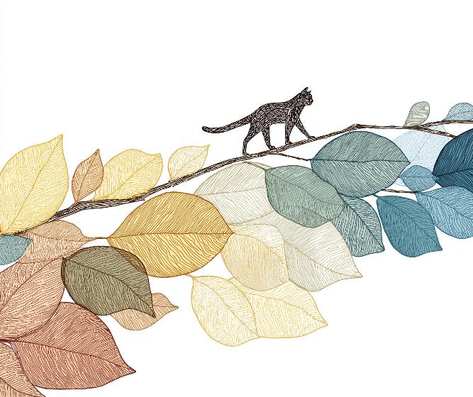 Papier peint chat parmi les feuilles