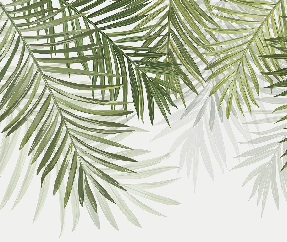 Papier peint feuillage vert feuilles de palmier