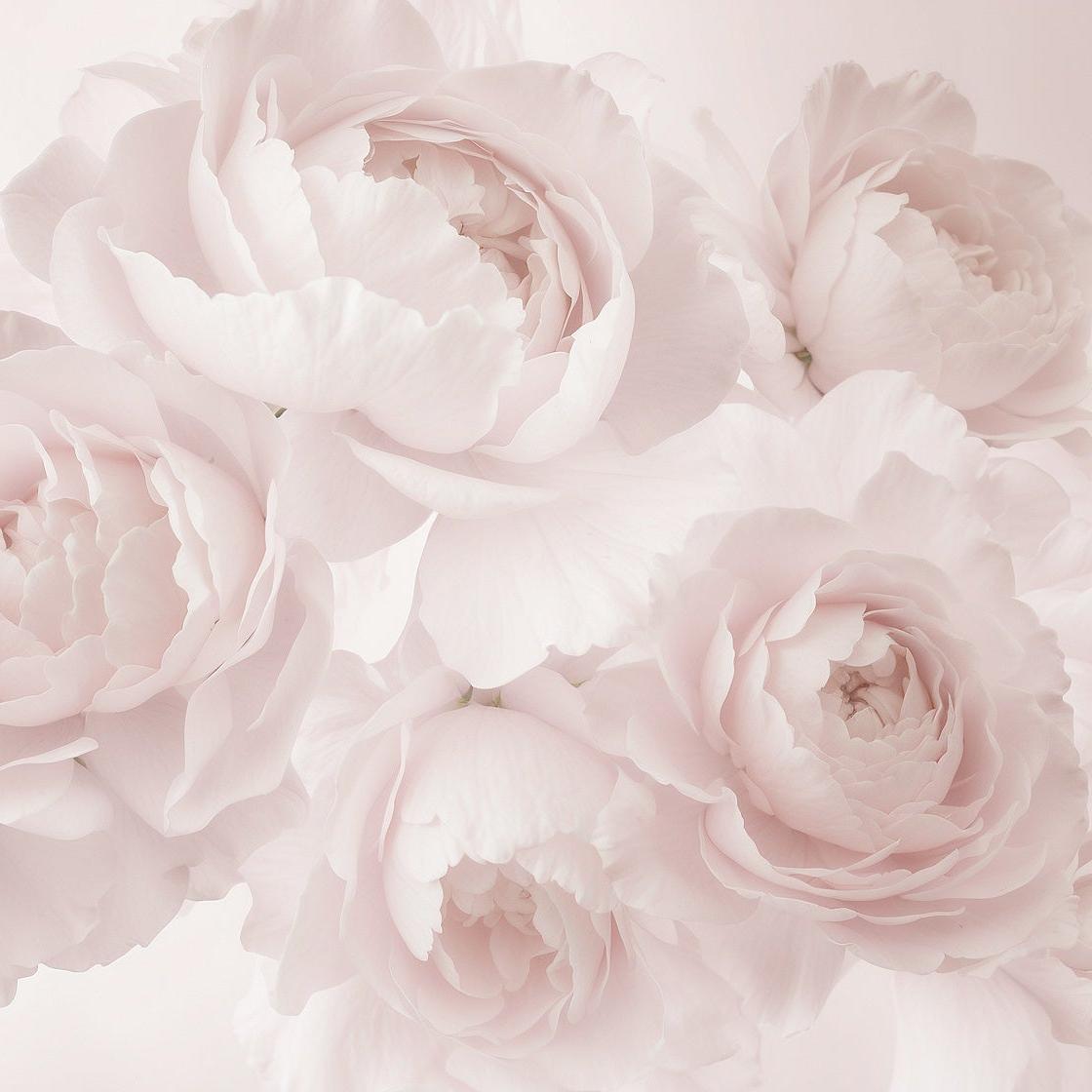 Papier peint grosses fleurs vintage