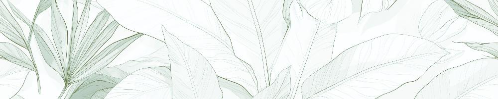 Papier peint feuillage vert tropical
