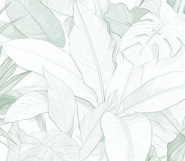 Papier peint feuillage vert tropical