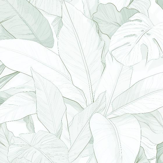 Papier peint feuillage vert tropical