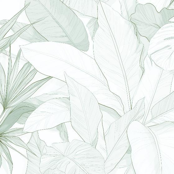 Papier peint feuillage vert tropical