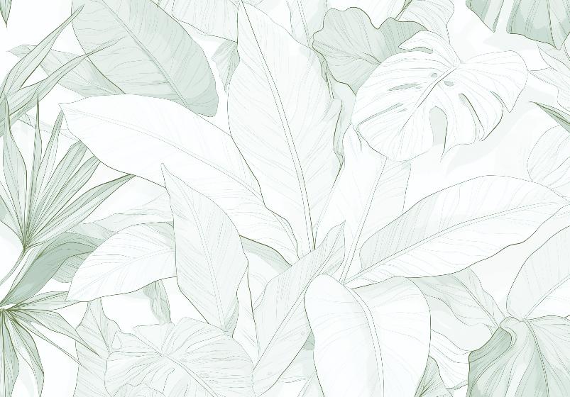 Papier peint feuillage vert tropical