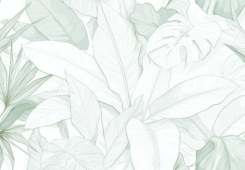 Papier peint feuillage vert tropical