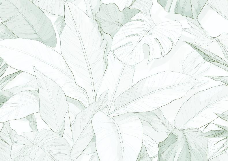 Papier peint feuillage vert tropical