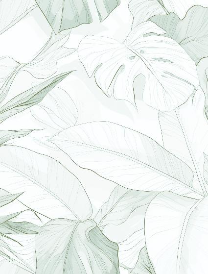 Papier peint feuillage vert tropical