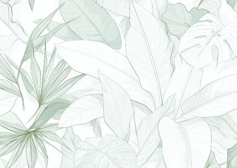 Papier peint feuillage vert tropical