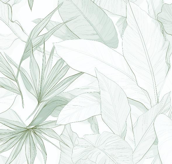 Papier peint feuillage vert tropical
