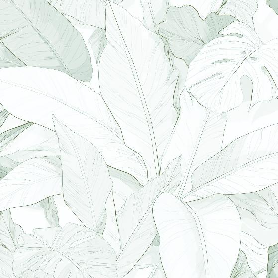 Papier peint feuillage vert tropical