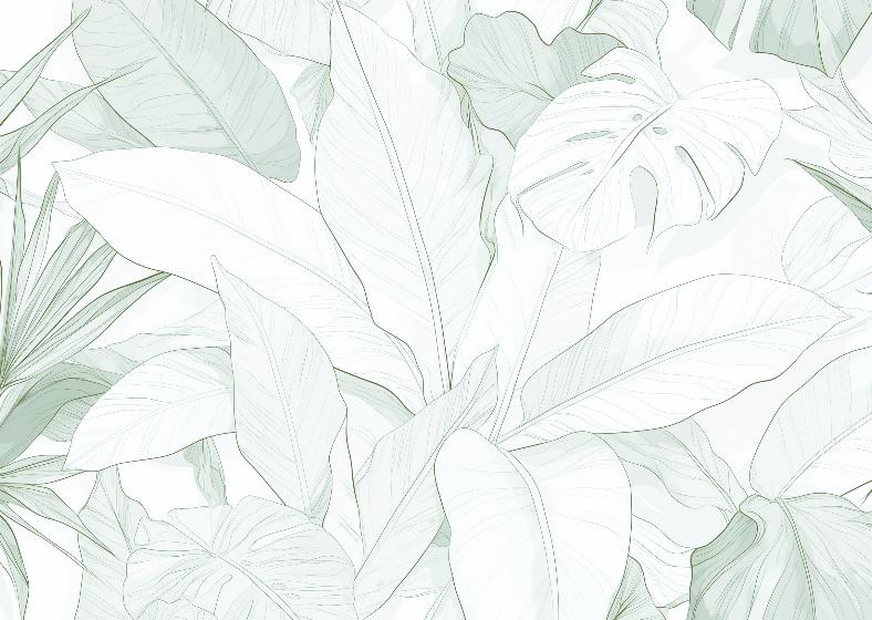 Papier peint feuillage vert tropical