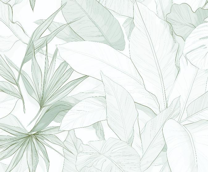 Papier peint feuillage vert tropical