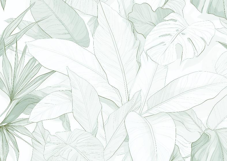Papier peint feuillage vert tropical