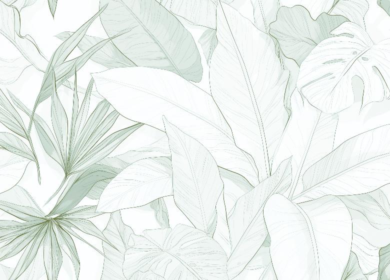 Papier peint feuillage vert tropical