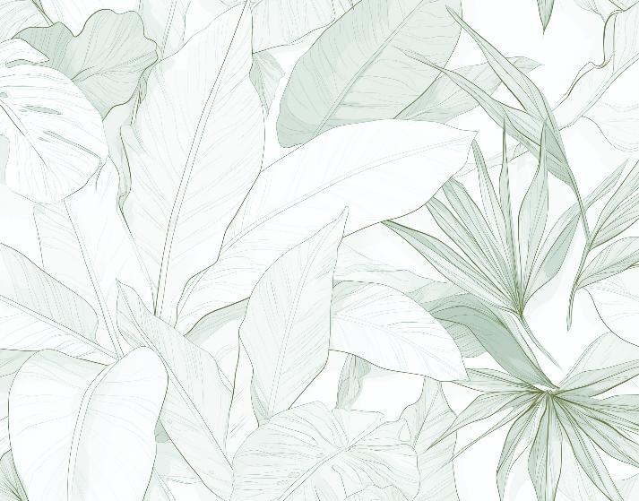 Papier peint feuillage vert tropical