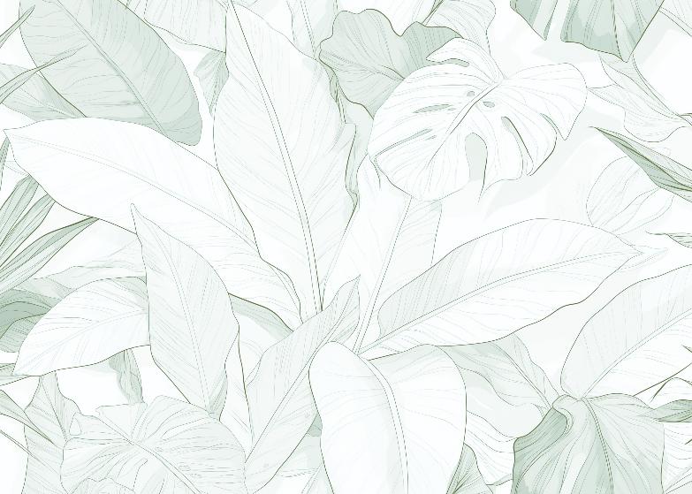 Papier peint feuillage vert tropical