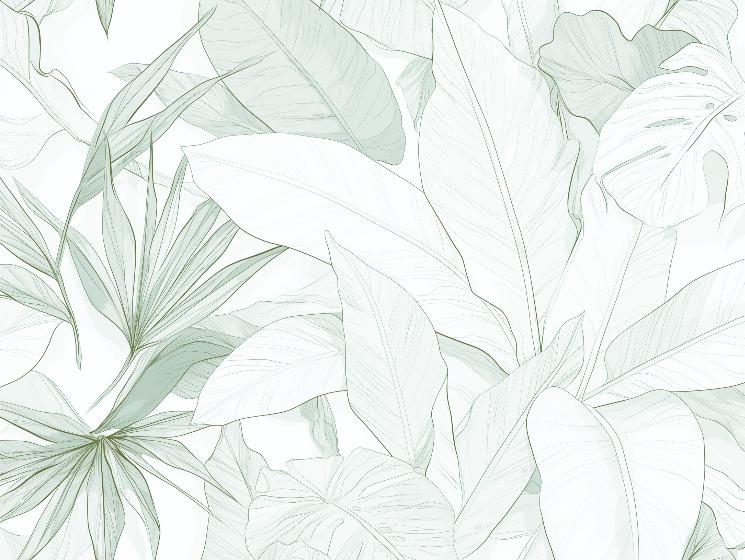 Papier peint feuillage vert tropical