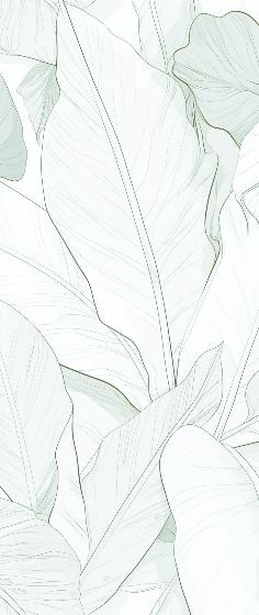 Papier peint feuillage vert tropical