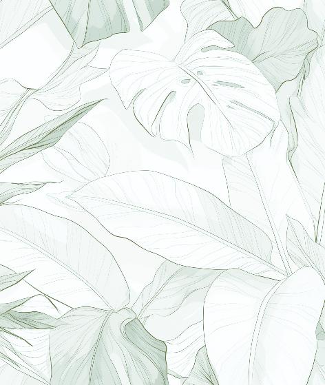 Papier peint feuillage vert tropical