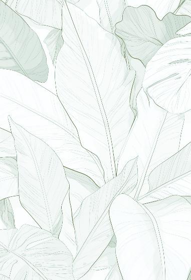 Papier peint feuillage vert tropical