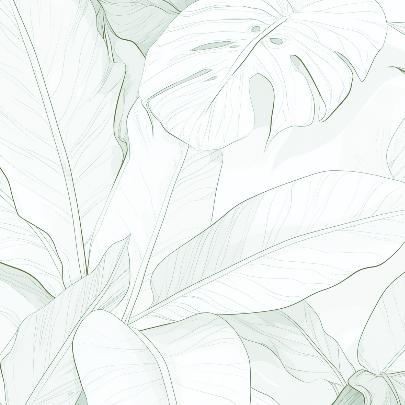Papier peint feuillage vert tropical
