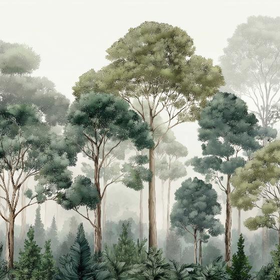 Papier peint forêt brumeuse et feuillage