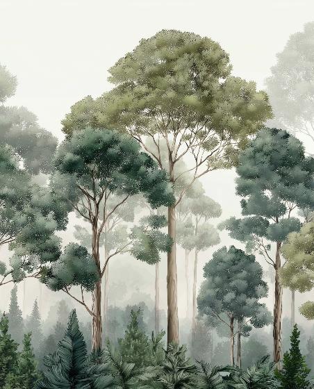 Papier peint forêt brumeuse et feuillage