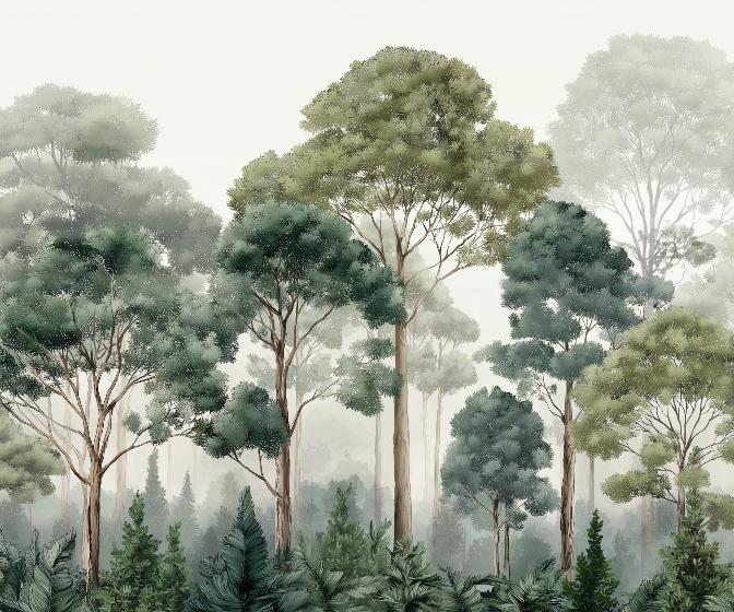 Papier peint forêt brumeuse et feuillage