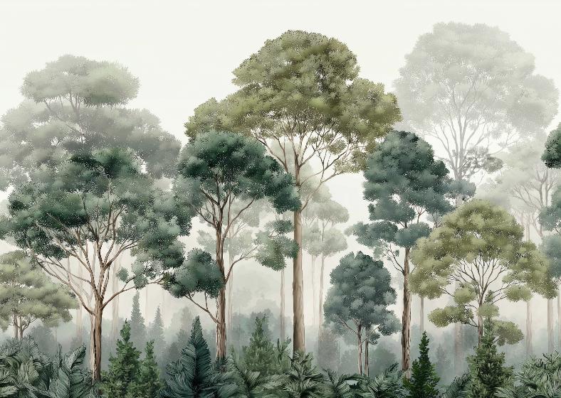 Papier peint forêt brumeuse et feuillage