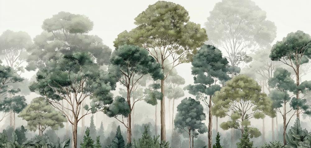 Papier peint forêt brumeuse et feuillage