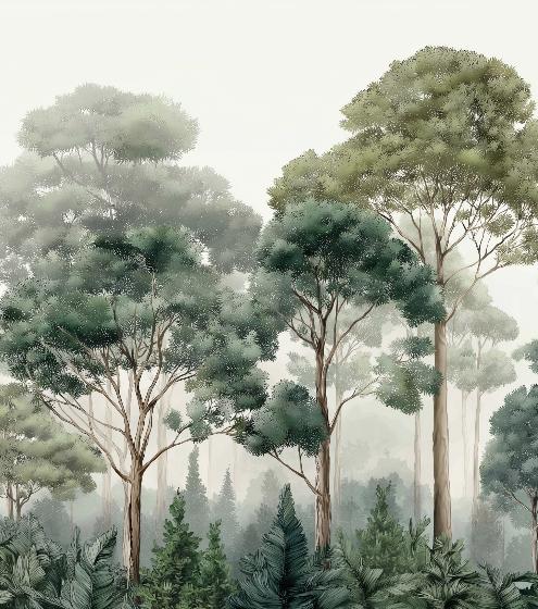 Papier peint forêt brumeuse et feuillage