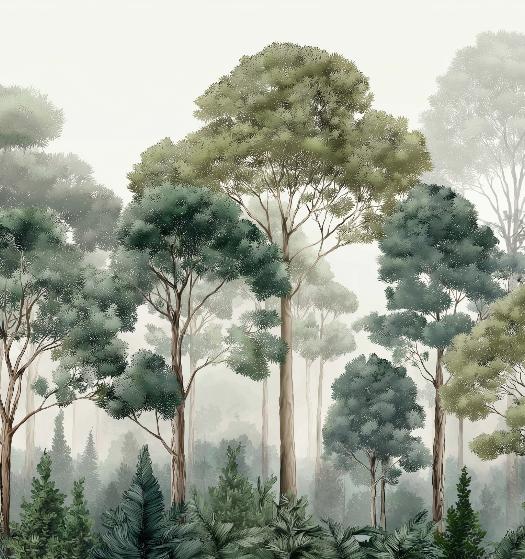 Papier peint forêt brumeuse et feuillage