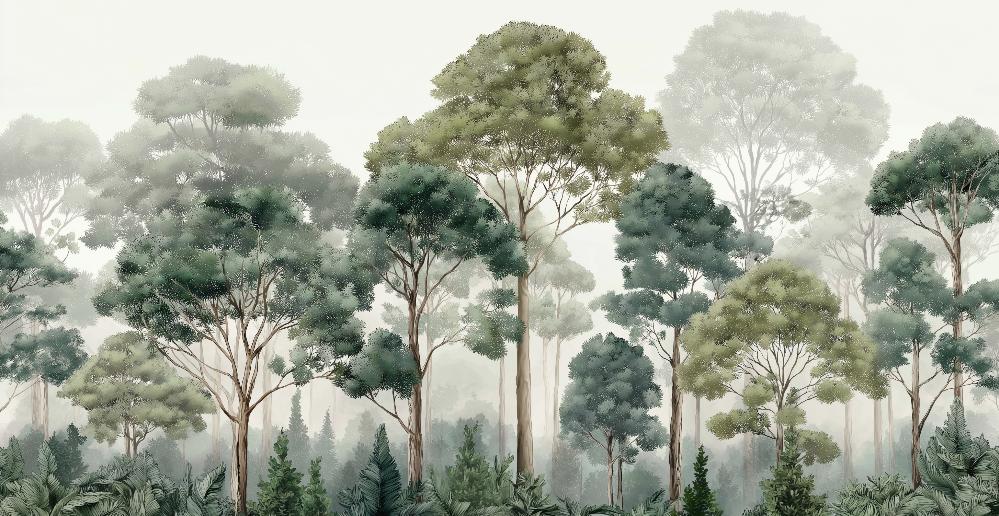 Papier peint forêt brumeuse et feuillage