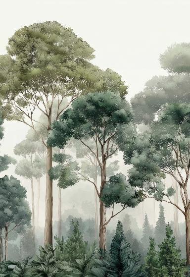 Papier peint forêt brumeuse et feuillage