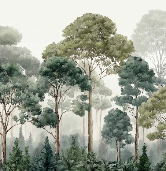 Papier peint forêt brumeuse et feuillage