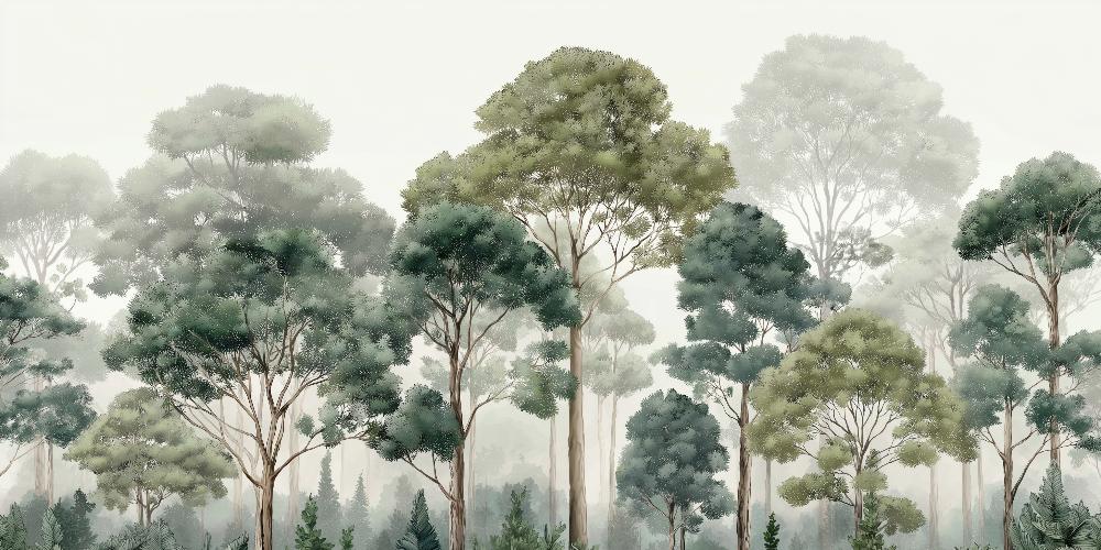 Papier peint forêt brumeuse et feuillage