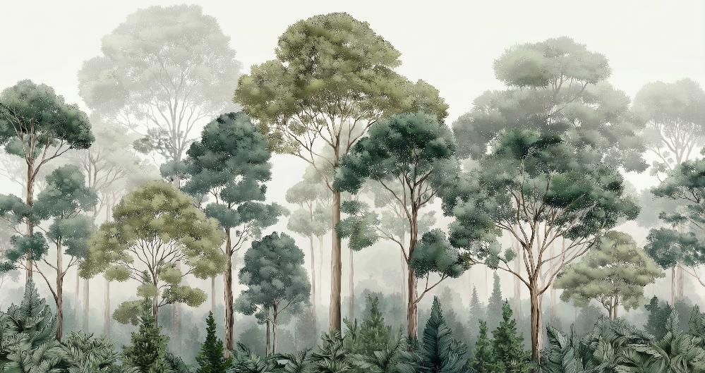 Papier peint forêt brumeuse et feuillage