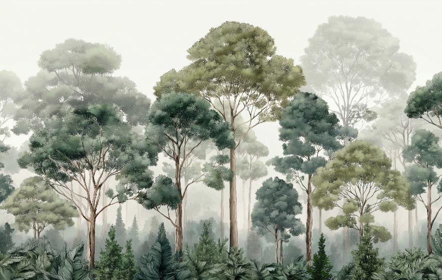Papier peint forêt brumeuse et feuillage