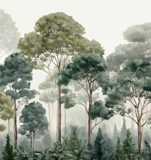 Papier peint forêt brumeuse et feuillage