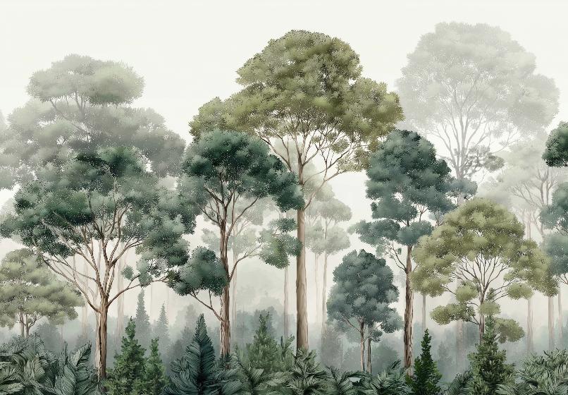 Papier peint forêt brumeuse et feuillage