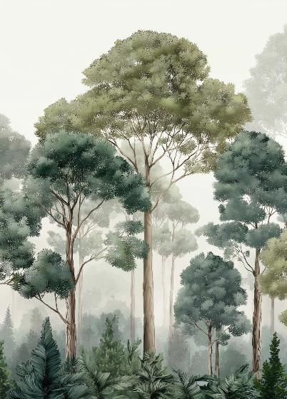 Papier peint forêt brumeuse et feuillage