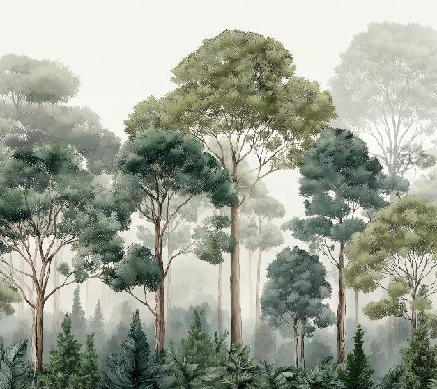 Papier peint forêt brumeuse et feuillage