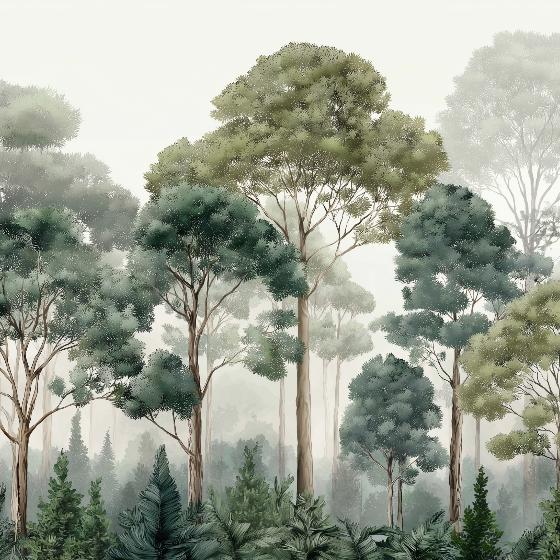 Papier peint forêt brumeuse et feuillage