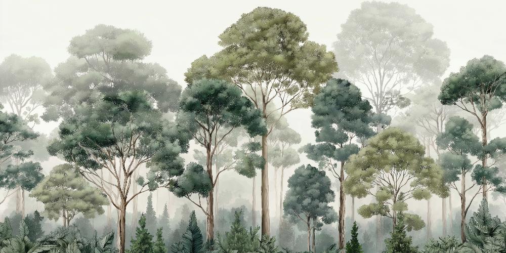 Papier peint forêt brumeuse et feuillage