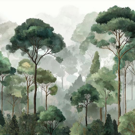 Papier peint forêt brumeuse arbres luxuriants
