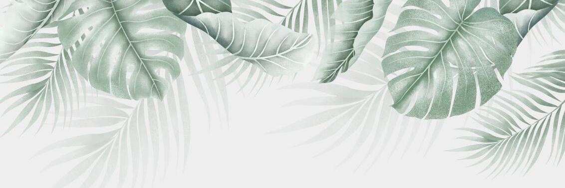 Papier peint feuillage palmier et monstera