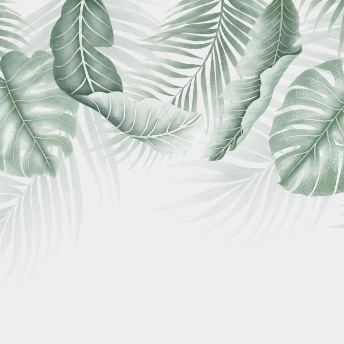 Papier peint feuillage palmier et monstera
