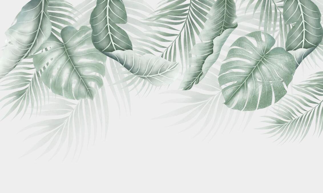 Papier peint feuillage palmier et monstera