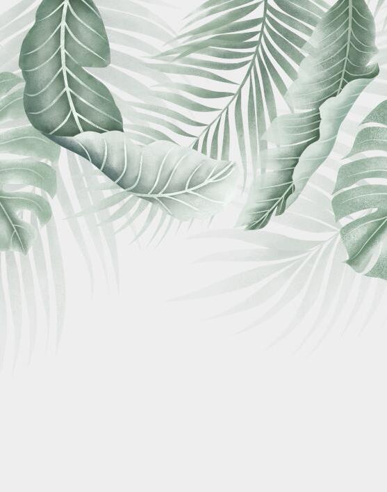 Papier peint feuillage palmier et monstera